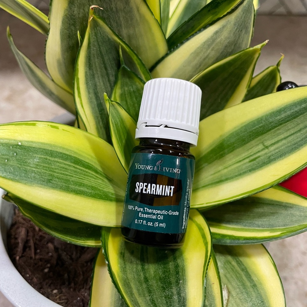 Young Living Spearmint Essential Oil